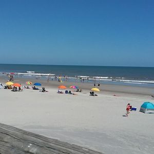 Meet your Posher, Sandy